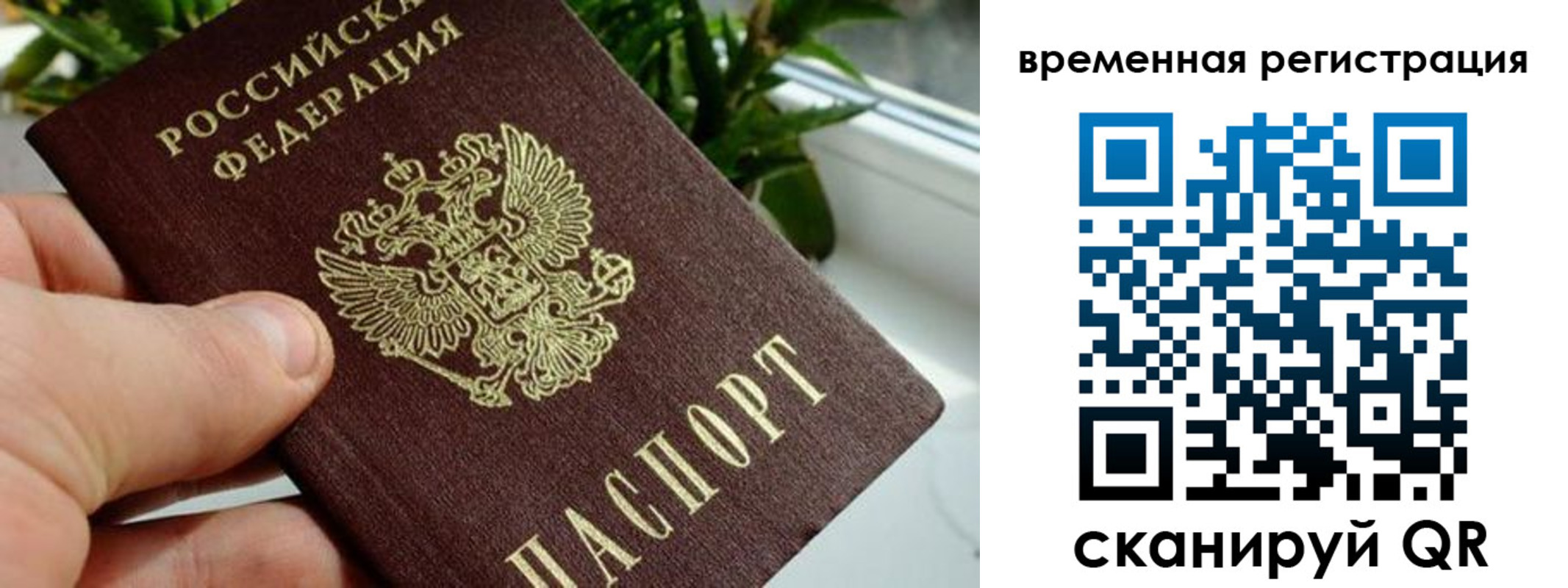 прописка поиск в Волчанске